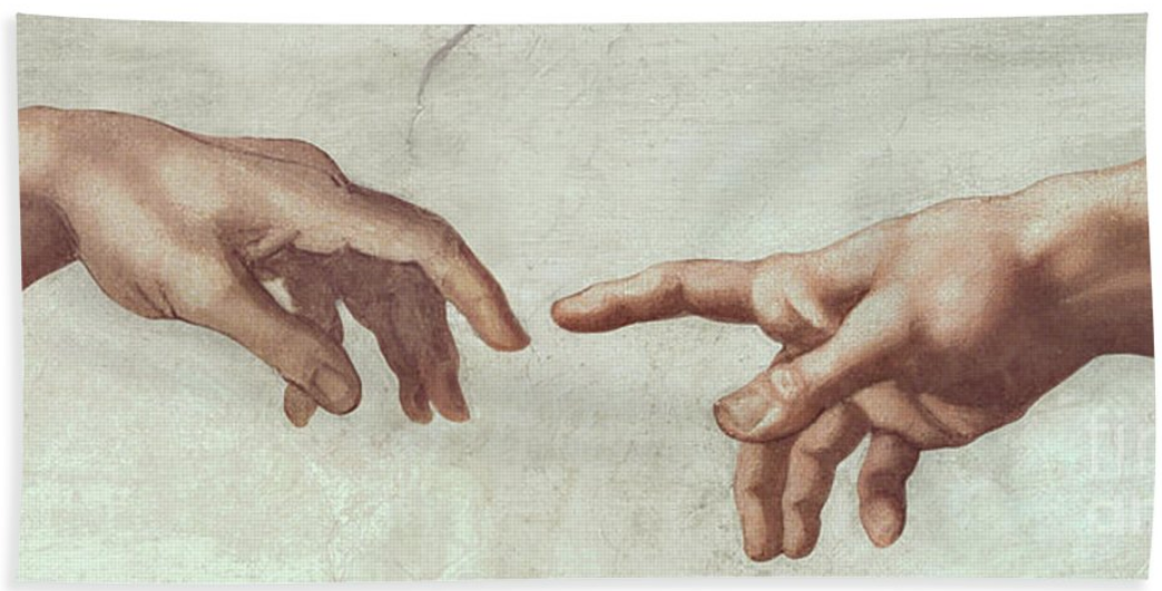 Hand and Elbow Anatomy Video