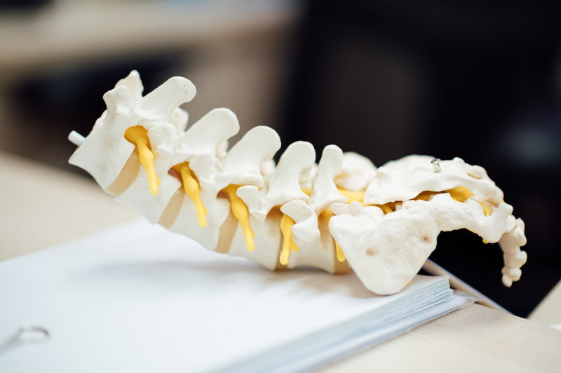 The 8 Best Back Braces for Real Pain Relief - Ortho Bracing