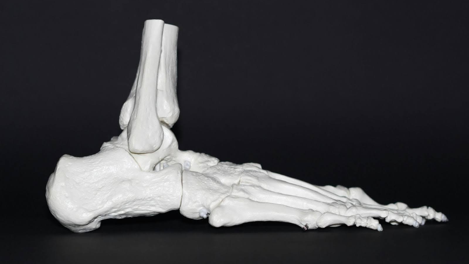 Can The Breg Polar Care Be Used With A Brace