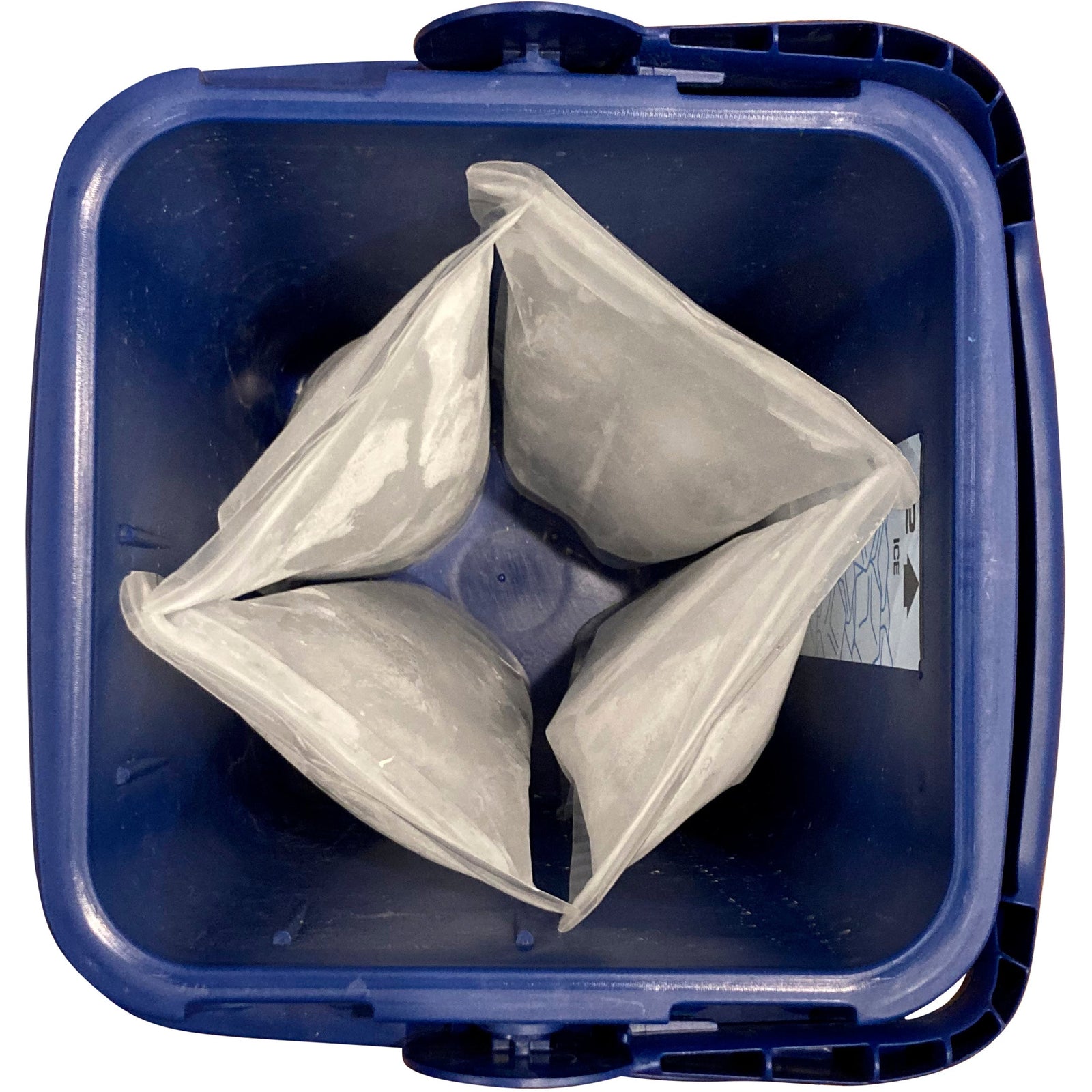 Reusable ice bag packs in a blue cooler reservoir, top view