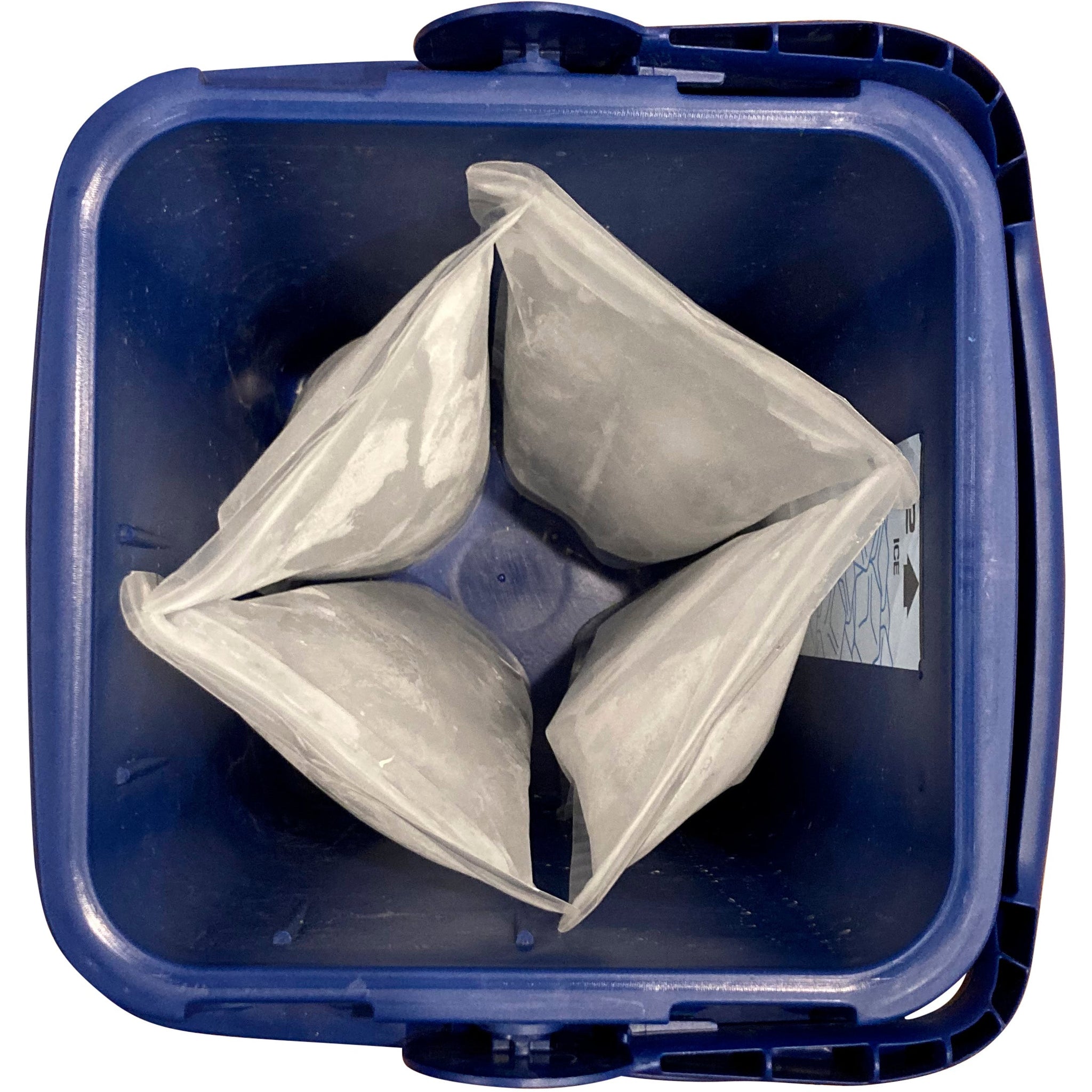 7 Best Ice Bag Freezers for Ice Pack Display & Merchandising